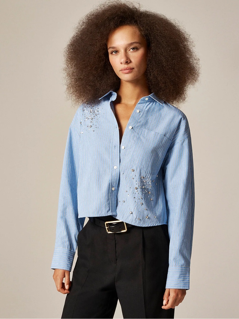 J. Crew Etienne Blue Pinstripe Embellished Button-Down Crop Shirt
